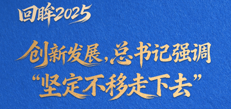 看图学习·回眸2025丨创新发展，总书记强调“坚定不移走下去”