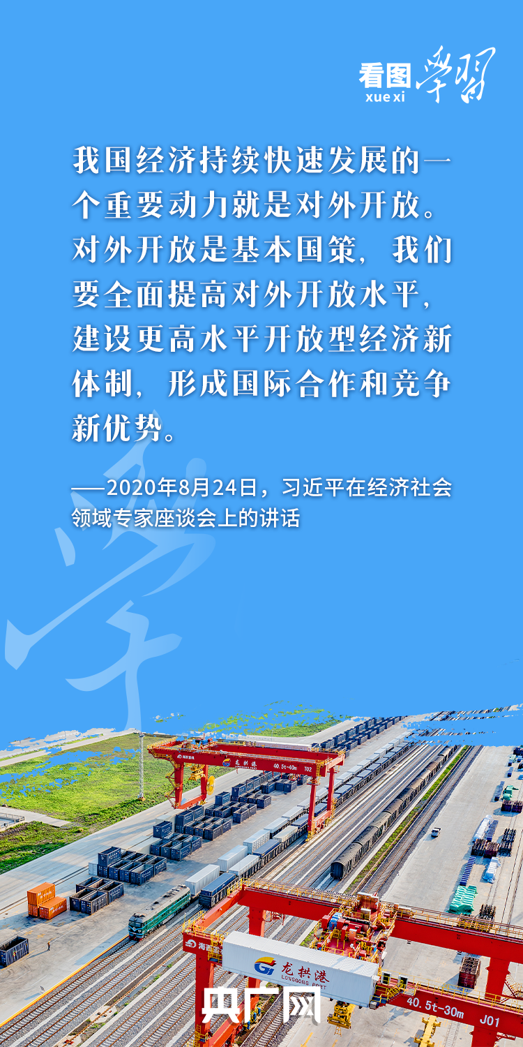 看图学习丨推进深层次改革和高水平开放 加快培育外贸新动能