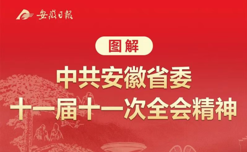 图解中共安徽省委十一届十一次全会精神